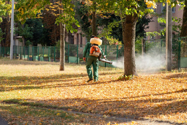 Best Affordable Pest Control Services  in Lincoln Rk, PA