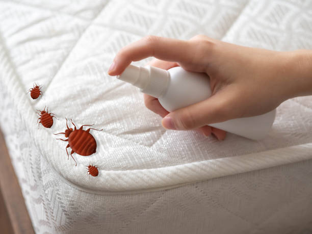 Best Commercial Pest Control Services  in Lincoln Rk, PA